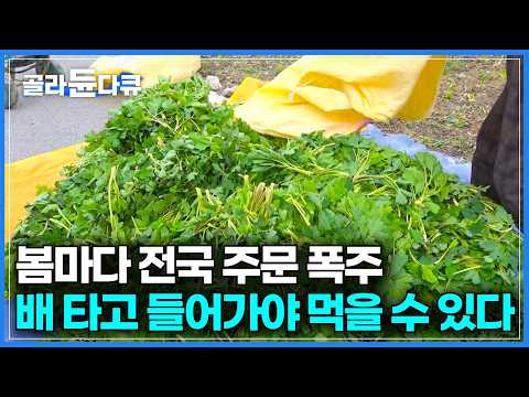 한철 장사인 줄 알았는데 전국에서 찾는다. 배 타고 25분 들어가야 먹을 수 있는 주부들의 봄 성지｜전국 택배로 쏟아지는 금오도 봄나물 방풍나물｜봄 제철 음식｜극한직업｜#골라듄다큐 thumbnail