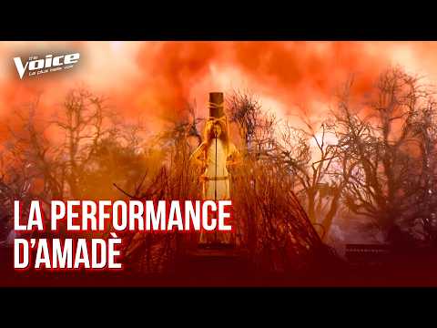 "Halo" de Beyoncé | Amadè | The Voice 2026 | Performances thumbnail