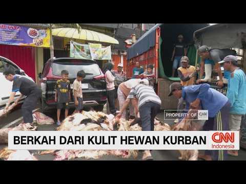 Pengepul Kulit Kurban Raup Berkah Iduladha di Surabaya thumbnail