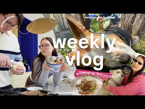 WEEKLY VLOG?// adopcja Soni?/ wiosenny Sopot / zmiany w ogrodzie i płot / spokojne dni w domu thumbnail