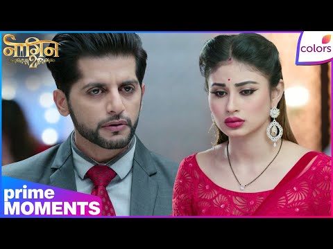 Naagin S2 | Highlights | Ep. 18 | Sesha’s Shocking Discovery! Is Ankush Still Alive? | Colors TV thumbnail