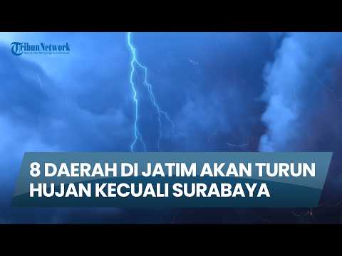 Info Cuaca Surabaya & Jatim hari Minggu, 17 Mei 2026: 8 Daerah di Jatim Turun Hujan Kecuali Surabaya thumbnail