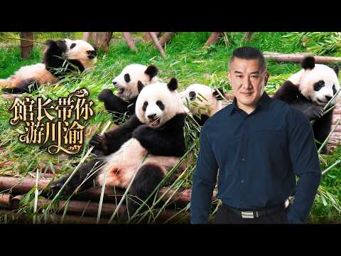 🔴LIVE【漢我遊川渝】成都我來了  !｜熊貓基地不直播 !｜來去AG戰隊打遊戲~夜景看雙子塔｜ thumbnail