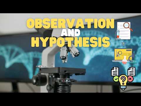 Observation and Hypothesis | Learn about making hypotheses and inferences based on observations thumbnail