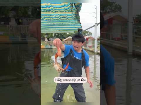Lớp học hài hước:khi cả lớp đi bắt cá thumbnail