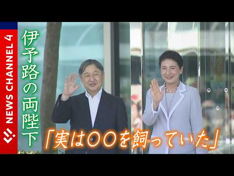 【愛媛】天皇皇后両陛下 27年ぶり来県「水族館部」の視察も＜NEWS CH.4＞ thumbnail