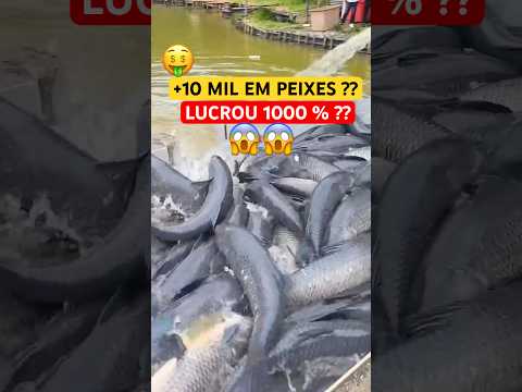 Ele Arriscou Tudo em 10 Mil Peixes! O Investimento Mais Louco da Piscicultura #curiosidades thumbnail