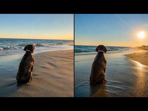 Dog Is Mesmerized By The Sunset | Daily Dose of Dogs thumbnail