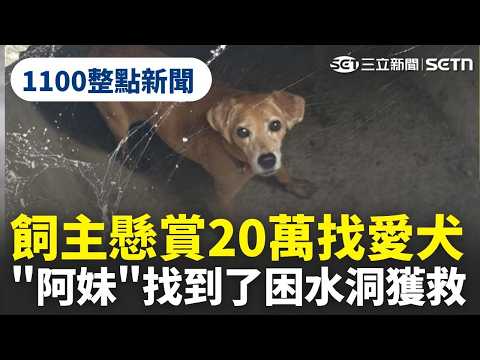 【1100整點新聞】台南飼主懸賞20萬找愛犬 "阿妹"找到了困水洞獲救｜三立新聞網 SETN.com thumbnail