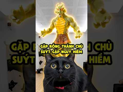 Tập 1️⃣ Mun Kích hoạt 12 bùa chú gặp rồng thánh chủ thumbnail
