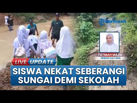 Jembatan Putus di Sebatik Tengah Nunukan, Siswa Terpaksa Seberangi Sungai Demi Tetap Sekolah thumbnail