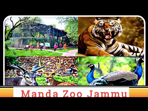 Zoo in Jammu || Manda Zoo || Ban Ganga || Lets Travel || thumbnail