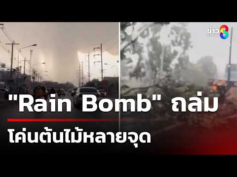 เรนบอมบ์ถล่มโค่นต้นไม้หลายจุด | 30 พ.ค. 69 | คุยข่าวเช้าช่อง8 thumbnail