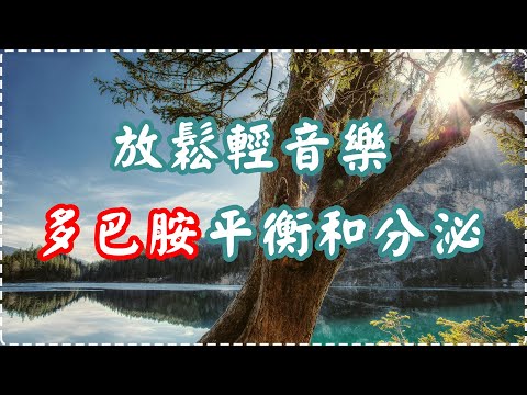 放鬆輕音樂 多巴胺平衡和分泌 入眠、放鬆、舒緩、休息【1小時】 thumbnail