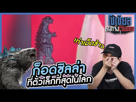 ก็อดซิลล่าที่เล็กที่สุดในโลก?! : โซเชียลสนุกจังโว้ย l VRZO thumbnail