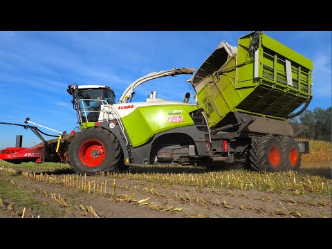 Maize harvest | Claas 980 Field Shuttle | New Holland T7.270 Blue Power Tractoren - DeBruyne thumbnail