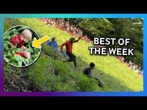 The Best Videos On The Internet This Week thumbnail