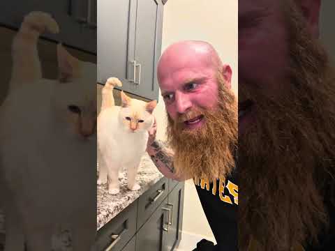 I Saved This Cat, Now I’m His Servant thumbnail