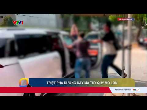 Từ một ô tô chở ma túy, Công an triệt phá đường dây 140 đối tượng | Cụm tin | VTV24 thumbnail