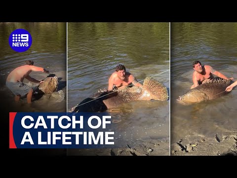 Aussie fisherman reels in ENORMOUS catch without a rod | 9 News Australia thumbnail