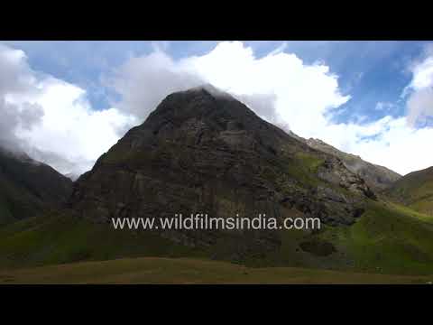 Pack horses on a Himalayan trekking route in Harsil Valley thumbnail