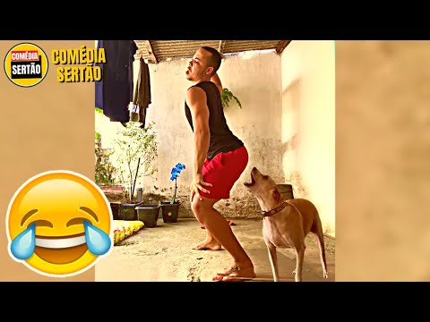 Vídeos Engraçados 2024 de OUTUBRO! VALE A PENA RIR DE NOVO thumbnail