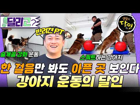 [🏃‍️#달리GO] 말 대신 몸으로 보내는 신호🐶 반려견의 작은 변화까지 살피는 운동·재활 달인 #생활의달인 #달리 #DALI thumbnail
