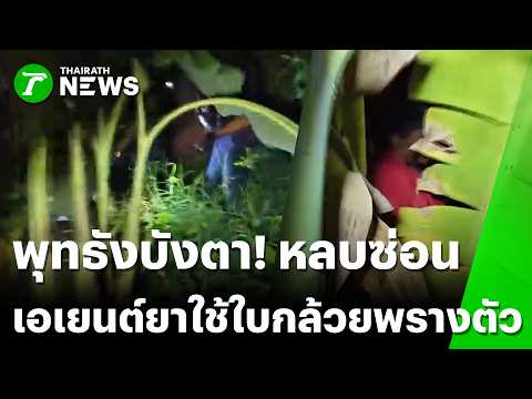 ฝ่ายปกครองสุพรรณร่วมทหารบุกจับผัวเมียค้ายาเสพติดหนีซุกกอกล้วยไม่รอด | 30 พ.ค. 69 | ไทยรัฐทันข่าว thumbnail