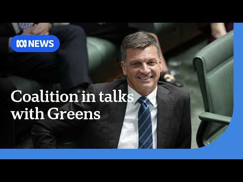 Coalition and Greens in talks over Labor tax changes, One Nation clarifies housing policy | ABC NEWS thumbnail
