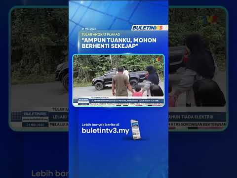 TULAR ANGKAT PLAKAD | Lelaki Tarik Perhatian Sultan Pahang, Mengadu 13 Tahun Tiada Elektrik thumbnail