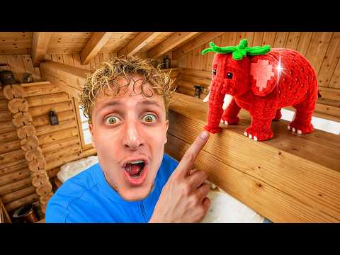 Celui qui Trouve le plus de Brainrots Gagne ! thumbnail
