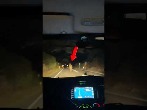 Kenapa Kangguru Australia Bisa Bikin Teknologi Canggih Volvo Gagal Total? thumbnail