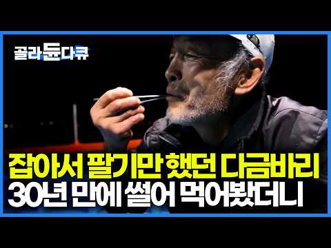 역대급 운수 좋은 날. 다금바리 한두마리만 잡다가 여섯 마리 잡고 처음으로 회를 떴다 ｜자바리｜한국기행｜#골라듄다큐 thumbnail