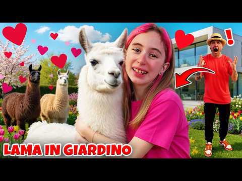 GIORGIA HA ADOTTATO UN CUCCIOLO DI LAMA PER 24 ORE DI NASCOSTO DA PAPÀ SALVO CON STEFANO! thumbnail