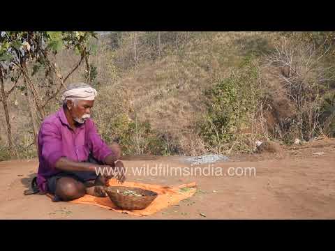 Man Preparing Food in a Village Setting in Maharashtra thumbnail