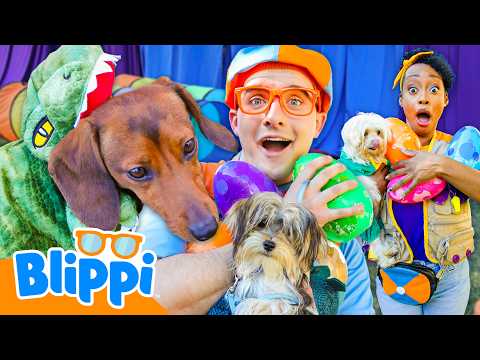 Blippi’s Jurassic Puppy Show! 🦖🐶 thumbnail