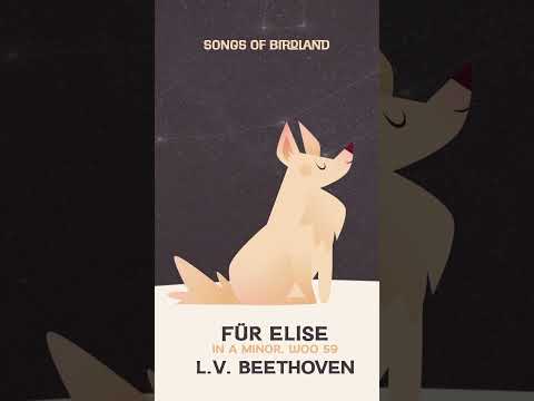 Für Elise ?? L.V. Beethoven ?? Songs of Birdland thumbnail