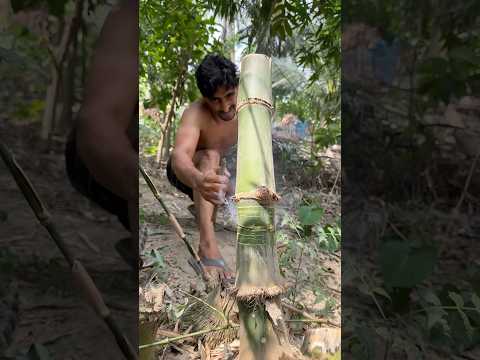 Eco-Friendly Bamboo Glass Made by Hand | So Satisfying to Watch thumbnail