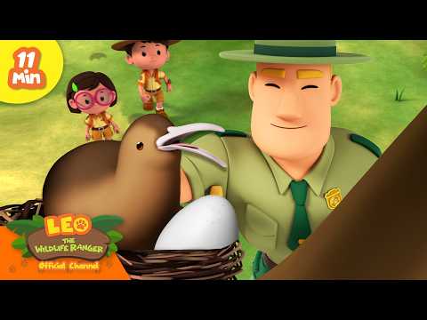Rangers Guide the Kiwi Back Home to its Nest! Leo the Wildlife Ranger | Educational Animal Cartoons thumbnail