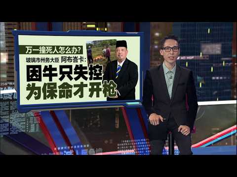 调查枪支是否有合法牌照  玻璃市大臣开枪惊动警方 | 新闻报报看 29/05/2026 thumbnail