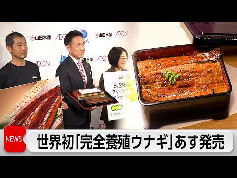 世界初「完全養殖ウナギ」イオンのネットショップであすから数量限定で試験販売開始　資源保護と安定供給に期待 thumbnail