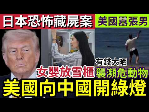 美國跪低？特朗普開綠燈「英偉達晶片」可對華銷售！美國務卿「盧比奧與習近平握手」成全球焦點！日本雪櫃藏屍「女嬰膠袋！」美國囂張男「襲擊瀕危動物」稱有錢大晒！15/5世界大大鑊「國際新聞大集合」 thumbnail