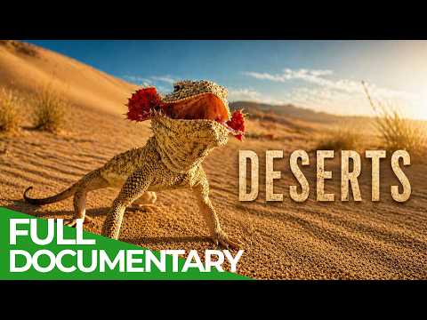 Deserts: Earth’s Most breathtaking Ecosystem | Free Documentary Nature thumbnail