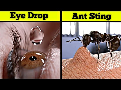 Things You Only See In Slow Motion  thumbnail