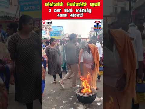 Palani | Murugan Temple | People thumbnail