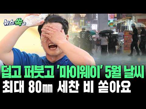 때이른 폭염 이은 성격 급한 폭우…최대 80㎜ 비 퍼붓는다 [뉴스쏙]/ 연합뉴스TV(YonhapnewsTV) thumbnail