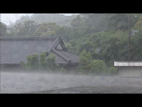 【台風6号】このあと房総半島に最接近へ　千葉・館山市の様子は(2026年6月3日) thumbnail