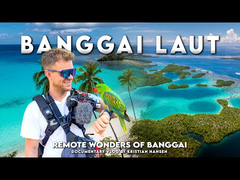 Banggai Laut - Indonesia’s Best Jellyfish Lake (Sulawesi) thumbnail