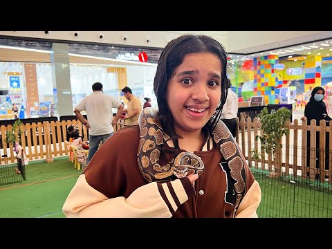 شفا خافت و هربت من الحيوانات! Shfa chooses new pet animals thumbnail