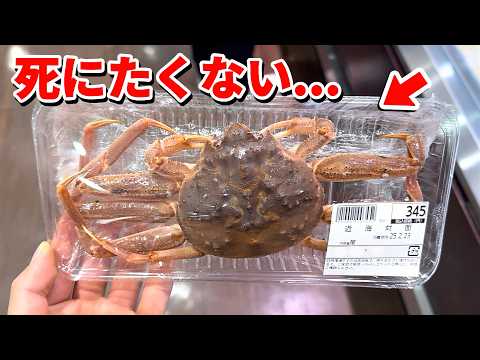 スーパーに売れ残っていた瀕死のカニを飼育してみると… thumbnail
